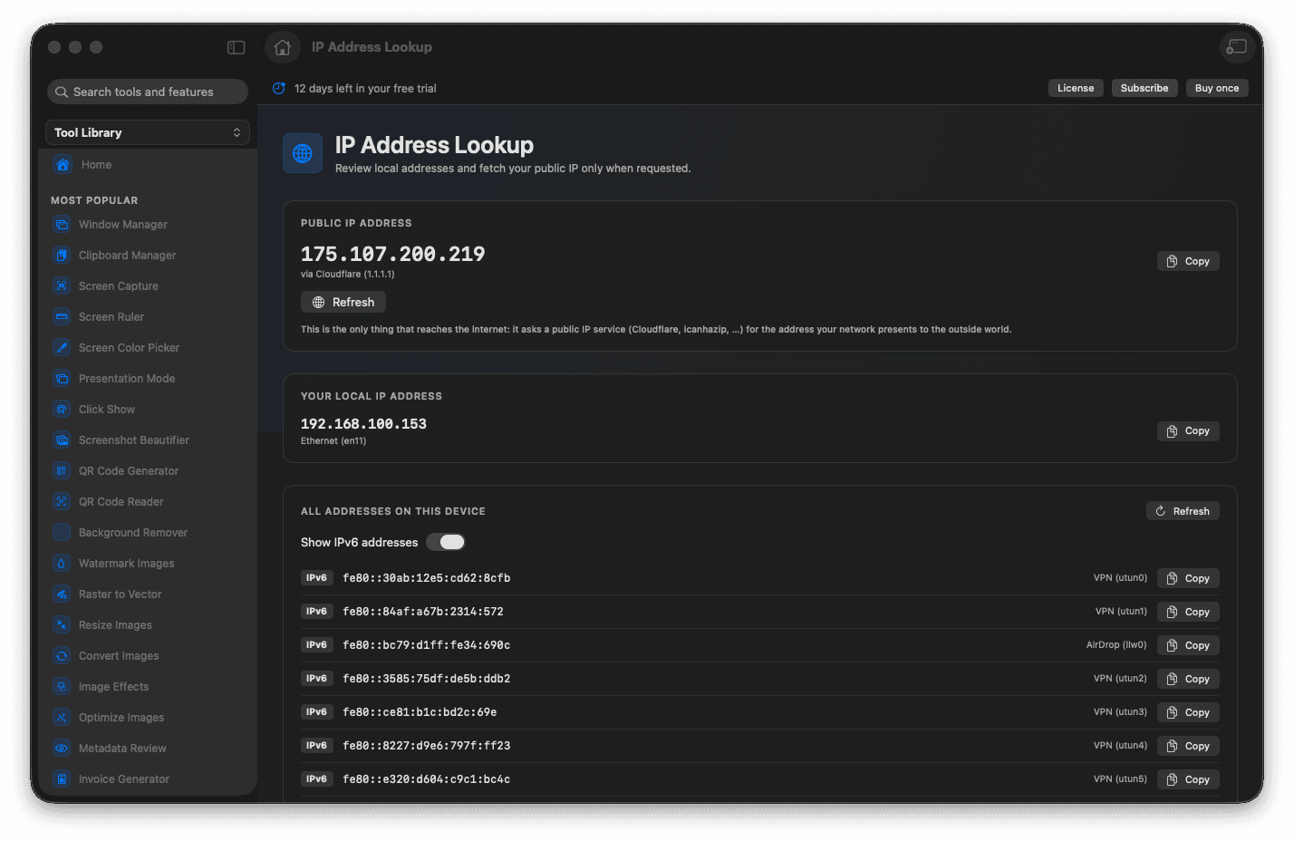 Foldout IP Address Lookup tool screen on macOS with local network addresses and public IP lookup