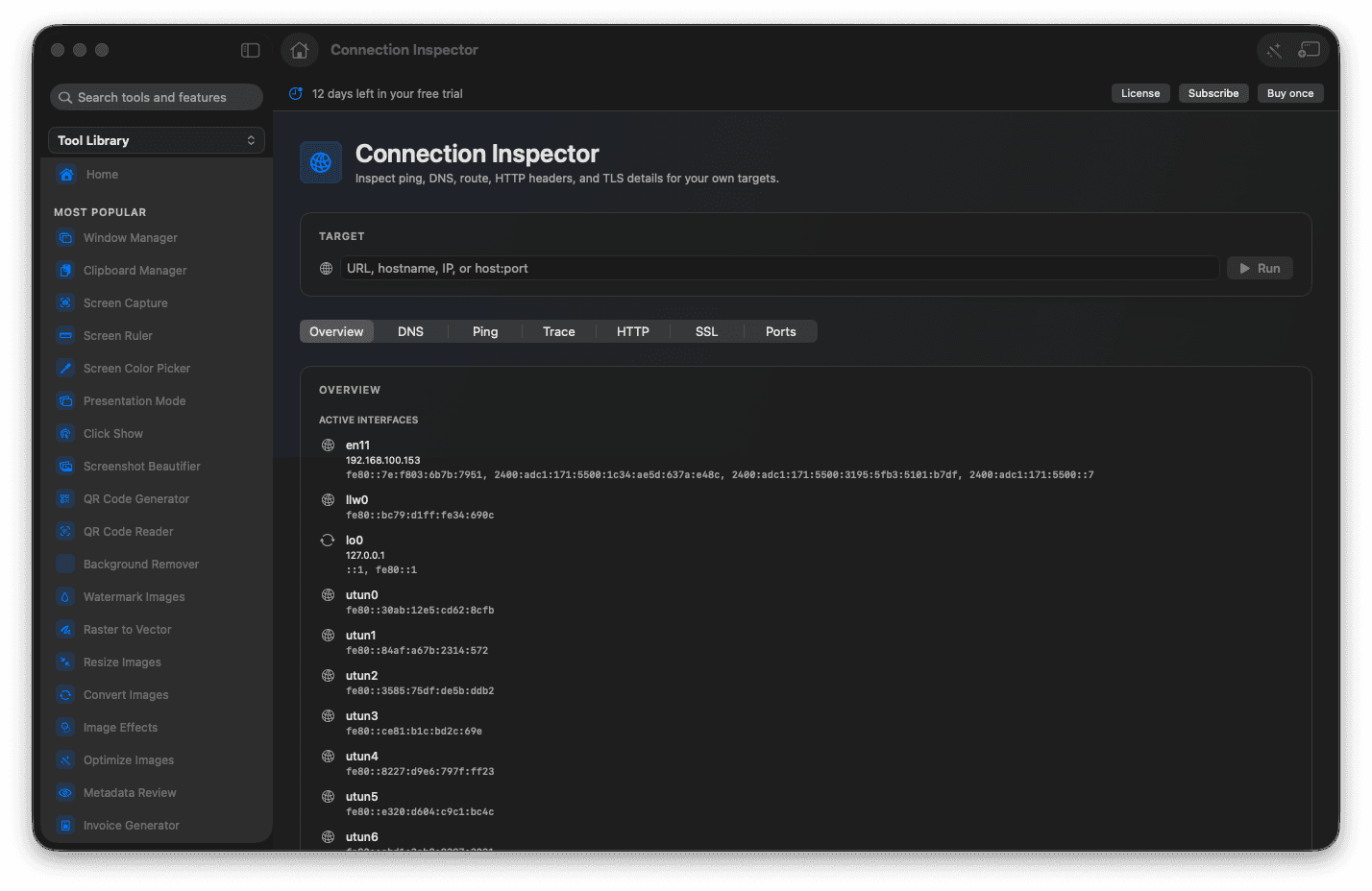 Foldout Connection Inspector tool screen on macOS with ping, DNS, route, HTTP, TLS, and port checks