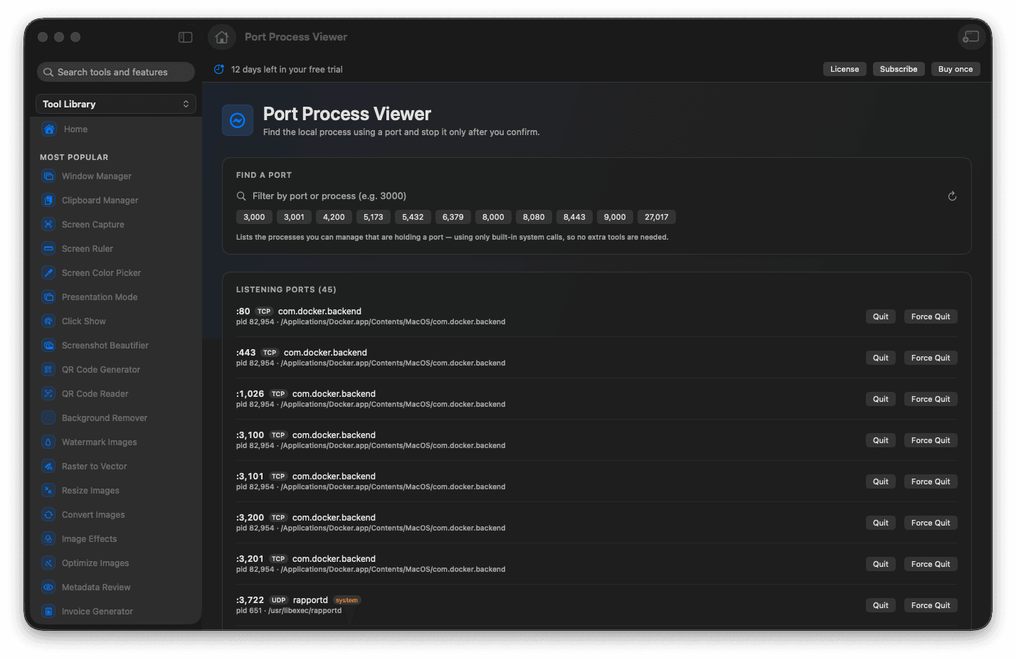 Foldout Port Process Viewer tool screen on macOS with local port and process details